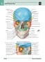 Profusamente Ilustrado