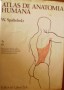 Atlas de Anatomía Humana (volumen 2)